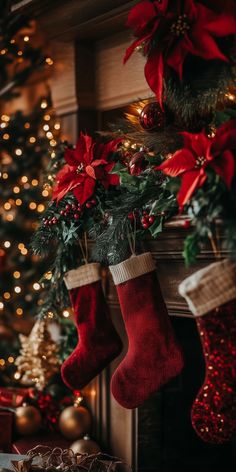 christmas stockings hanging from the fireplace with poinsettis