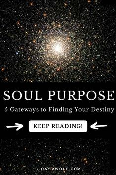 the book cover for soul purpose 5 ways to finding your destiny keep reading by jonewoff com