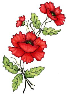 some red flowers with green leaves on a white background