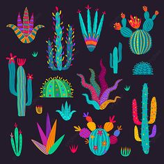 colorful cactuses and cacti on black background