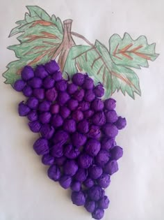 a bunch of purple grapes sitting on top of a white table next to green leaves