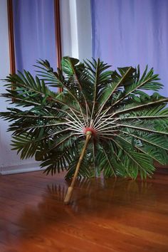 a potted plant sitting on top of a wooden floor