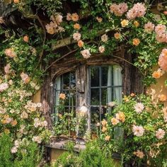 an old window surrounded by flowers and greenery