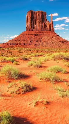 the desert is covered in red sand and green grass, with a rock formation in the background