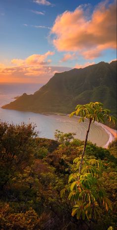 the sun is setting over an ocean with mountains and trees in the foreground,