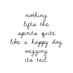 a quote that says nothing lifts the spirits quite like a happy dog wagging its tail