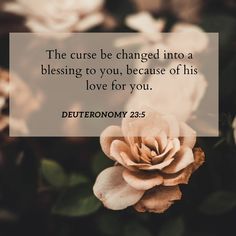 a flower with a bible verse on it that says the curse be charged into a blessing to you, because of his love for you