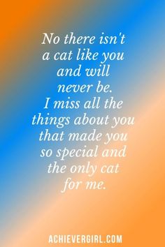 an orange and blue background with the words, no there isn't a cat like you