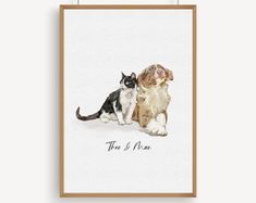 a dog and cat sitting next to each other on a white background with the words, there is no man