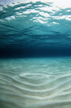 an underwater photo with the words it's too late to engage appoloze onerepublic