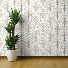 a potted plant sitting on top of a wooden floor next to a white wall