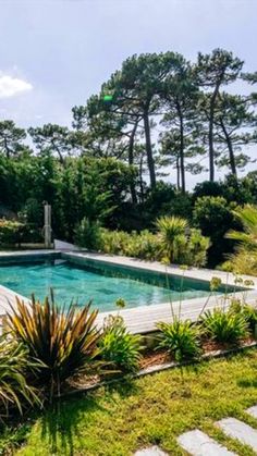 an empty swimming pool surrounded by trees and grass