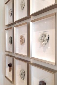 several framed pictures hanging on the wall with seashells and shells in them,