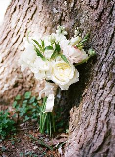 a bouquet of flowers is placed on the bark of a tree