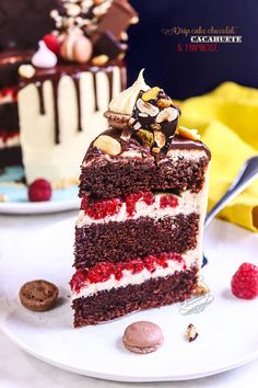 a slice of cake on a plate with raspberries and chocolate chips around it