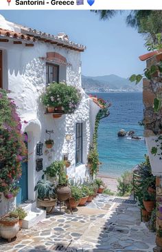 an alley with potted plants and flowers on the side of it next to water