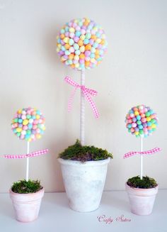 three potted plants with candies in them