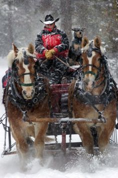 two horses pulling a sleigh with people in it on a snowy day,