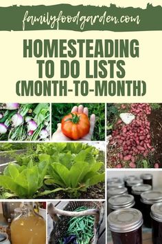 several different pictures with text overlaying the words, homesteading to do lists month - to - month