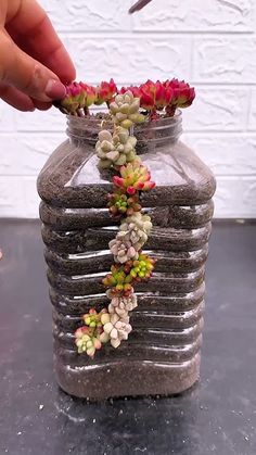 a person is placing flowers in a vase on the table with other plants and rocks