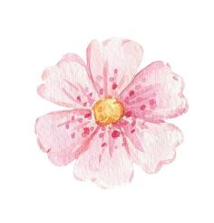 a watercolor painting of a pink flower on a white background with gold stamen