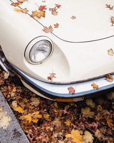 an old white car is parked in the leaves