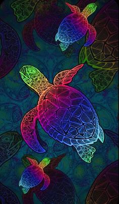 an image of colorful turtles in the dark