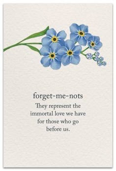 forgetr - me - nots greeting card with blue flowers