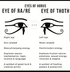 an eye chart with the different types of iris's eyes and their corresponding features