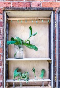 a plant in a glass vase sitting on top of a wooden shelf next to a brick wall