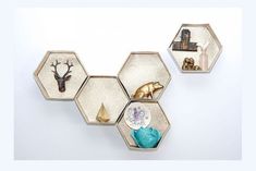 three hexagonal wall shelves with decorative items on them