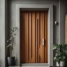 a wooden door in front of a gray wall with potted plants on the side