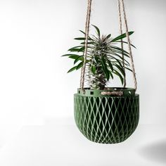 a green plant hanging from a rope with a potted plant in the middle on top