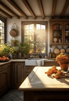 an image of a kitchen setting with oranges on the counter and potted plants