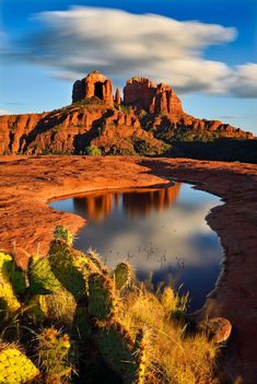 a large body of water surrounded by red rocks and cactus plants in the foreground