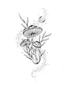 the ink drawing shows mushrooms growing out of the ground, with moon in the background