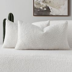 two pillows sitting on top of a white couch next to a cactus plant in a living room