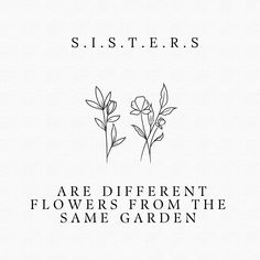 there are flowers from the same garden on this white background with black text that reads, s is t r s