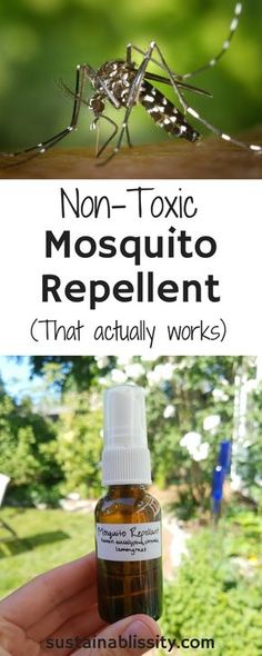 Essential Oils For Mosquitoes, Essential Oil Bug Repellent, Mosquito Repellent Essential Oils, Diy Mosquito Repellent, Mosquito Spray, Organic Gardening Pest Control, Natural Bug Repellent, Natural Mosquito Repellant