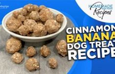 cinnamon banana dog treat recipe in a bowl