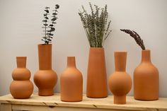 five vases are lined up on a table with flowers in the middle and one is empty