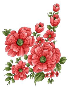 red flowers with green leaves on white background