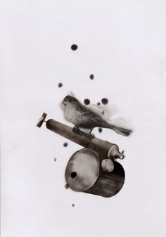 Image result for stevenspazuk Candle Soot, Peace Art, Juxtapoz Magazine, Bird Illustration, Birds Painting, Pyrography