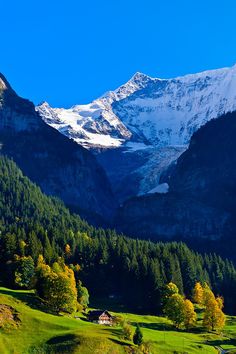 the mountains are covered in snow and green grass, with trees on either side of them