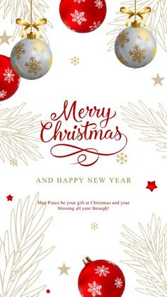 merry christmas and happy new year card with bauby balls on fir tree branches