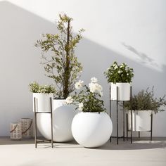 three white vases with flowers in them sitting next to each other on the ground