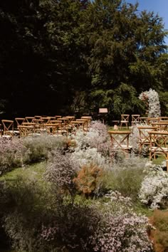 rows of wooden chairs sitting on top of a grass covered field next to trees and bushes