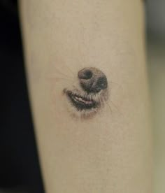 a dog's face is shown on the leg