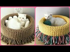 two pictures of white cats sitting in a crocheted cat bed with fringes