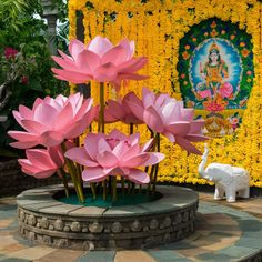 large pink flowers in front of a yellow wall